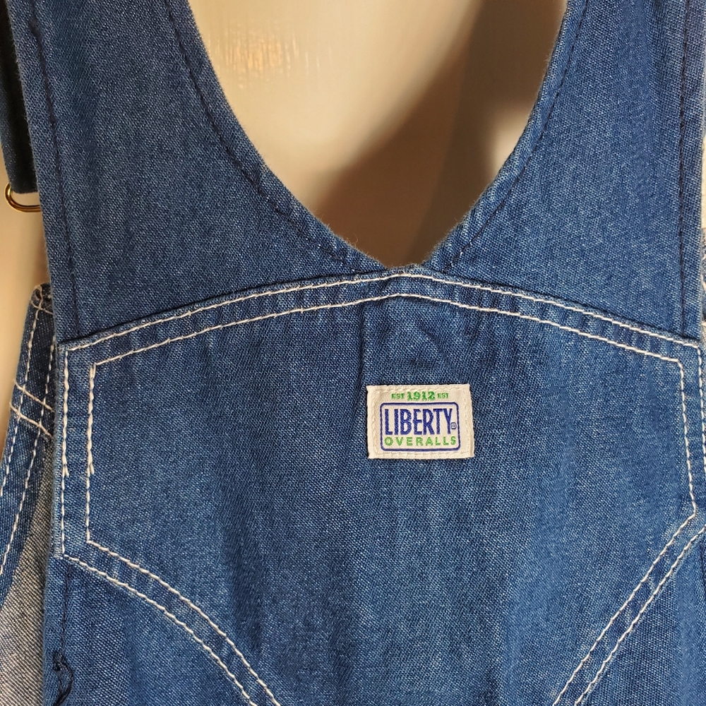Liberty Overalls Mens 42x30 Womens XL Blue Denim Bib Carpenter Workwear Hipster - Picture 11 of 13